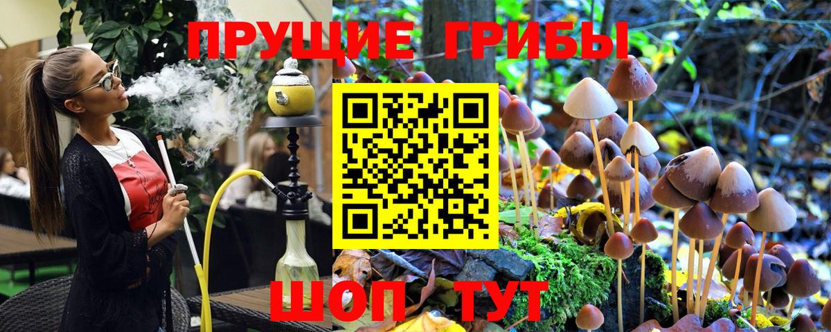 купить наркоту  Псилоцибиновые грибы ЛСД  Ялуторовск  Вход с VPN  Псилоцибиновые грибы MAGIC MUSHROOMS 